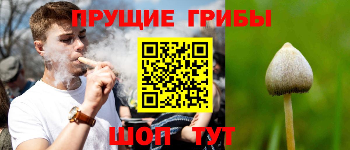 Чехов  Галлюциногенные грибы ЛСД  Вход с VPN  Галлюциногенные грибы Psilocybine cubensis 